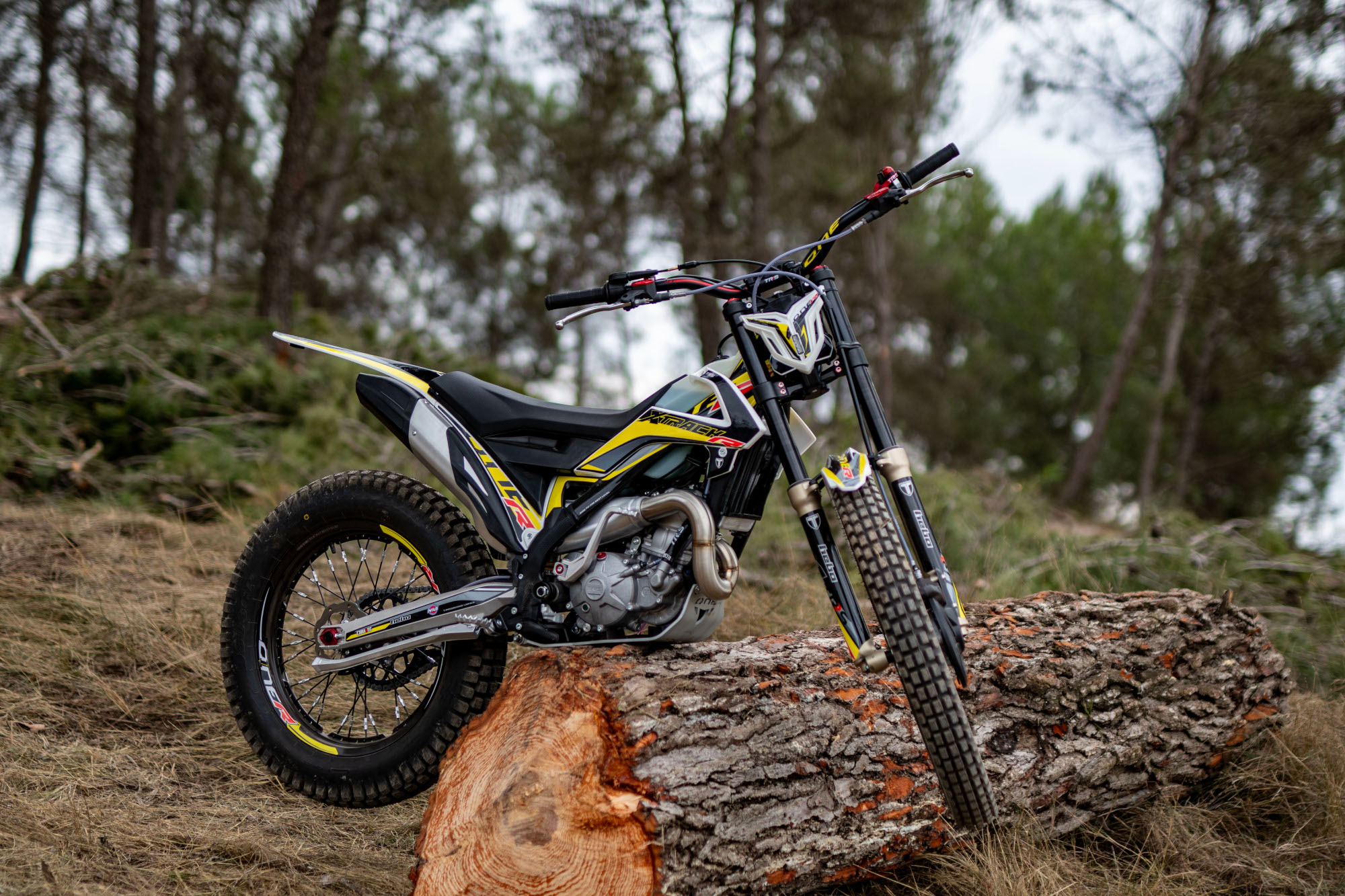 Bild von TRRS X TRACK ONE RR  2026